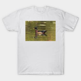 Male Wood Duck - Mud Lake T-Shirt